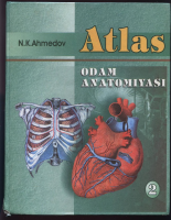 Atlas. Odam anatomiyasi II [@kitoblar1].pdf